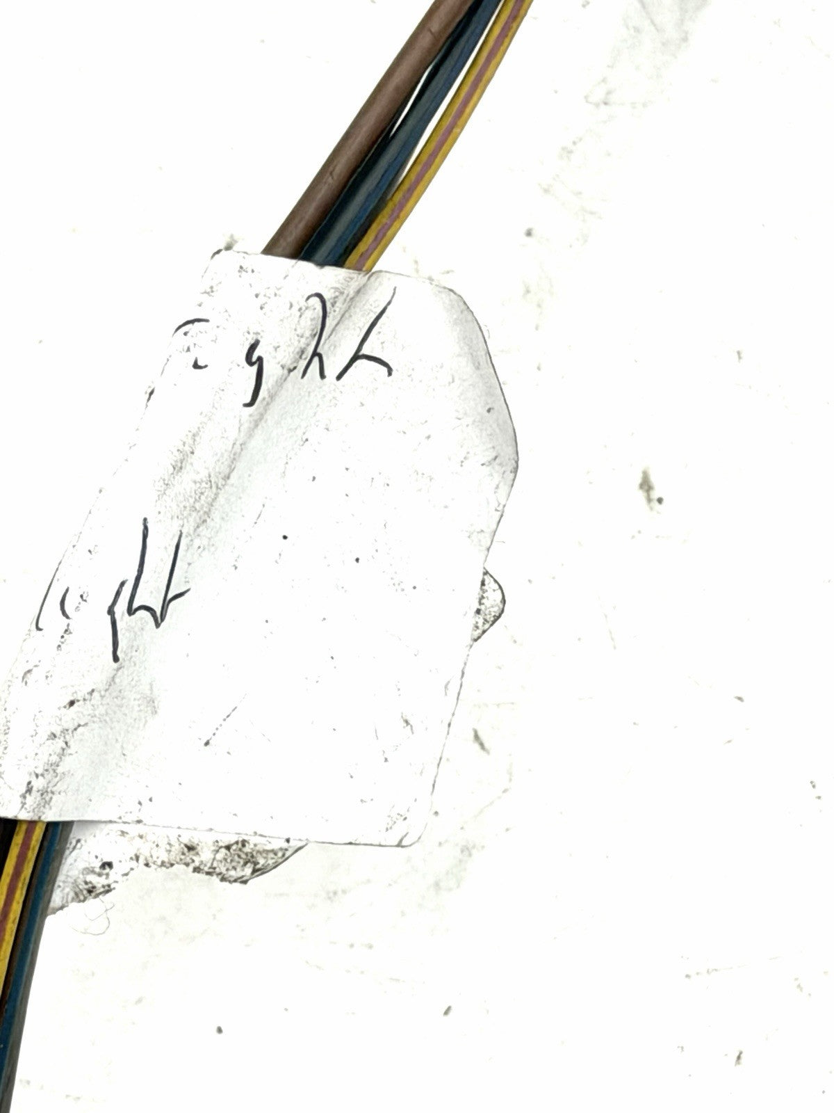 Image #7