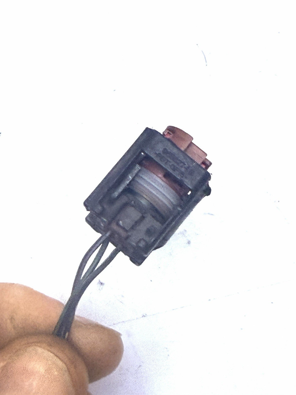 Image #12