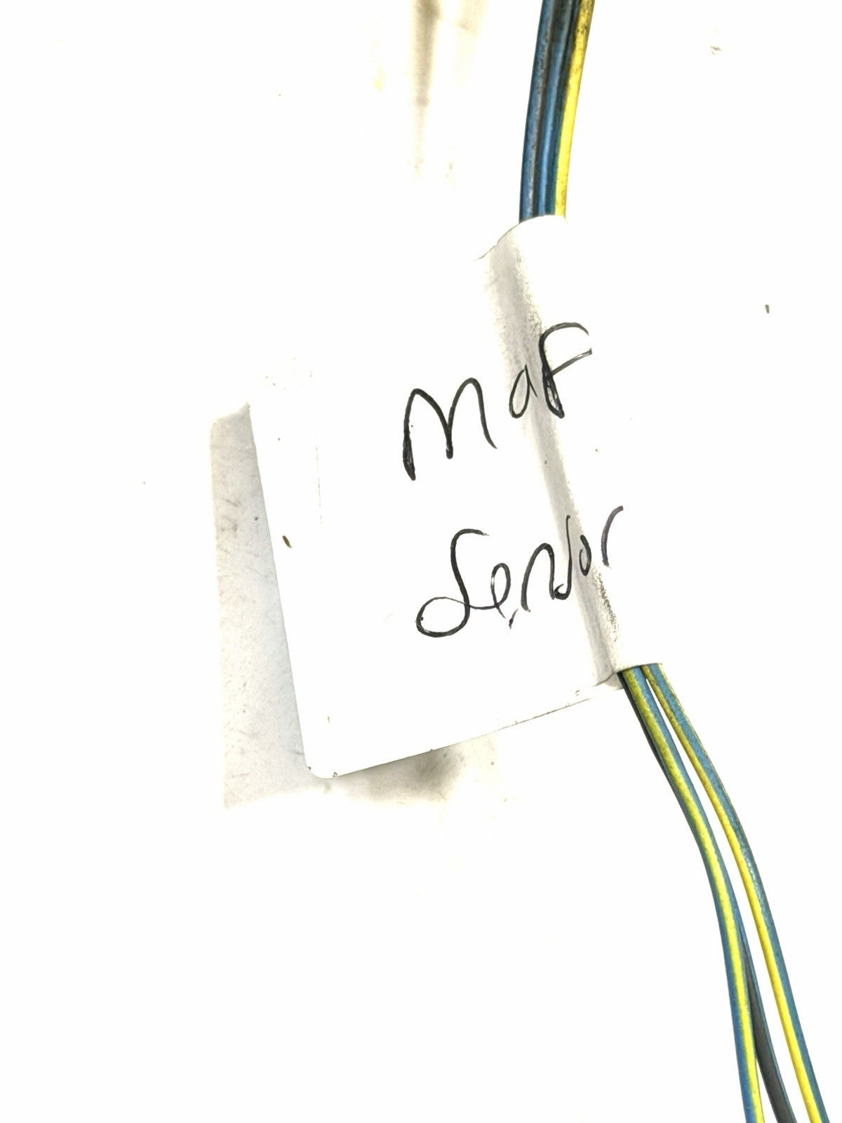 Image #7
