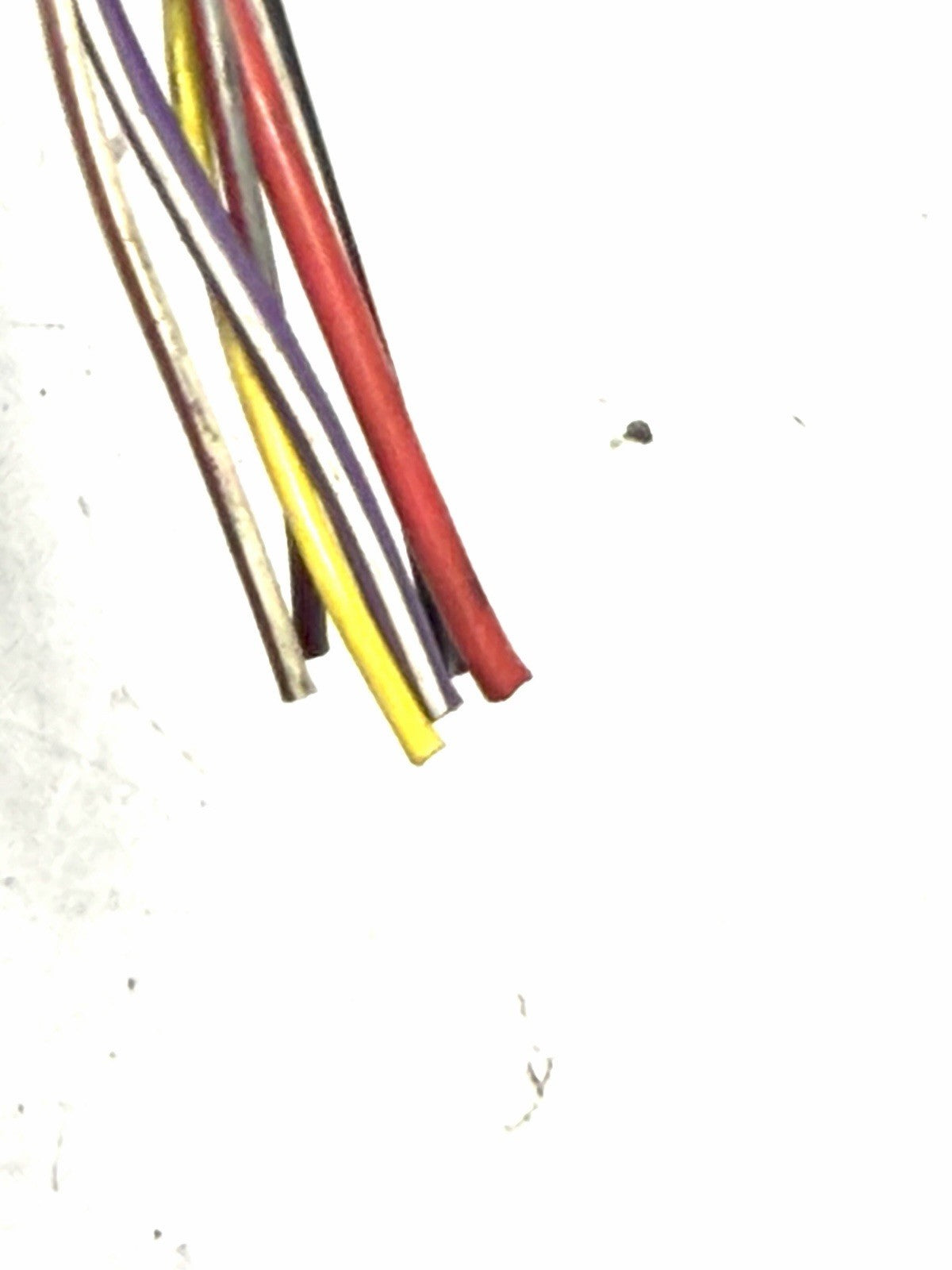 Image #7