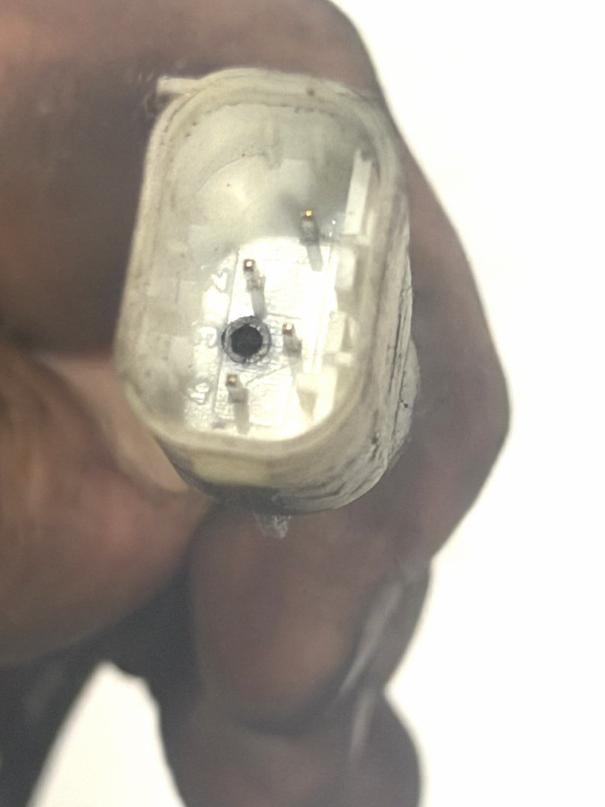 Image #13