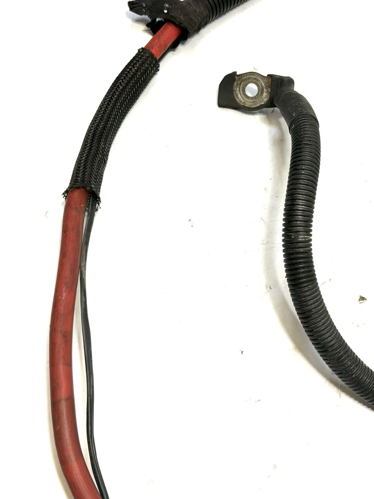 Image #10